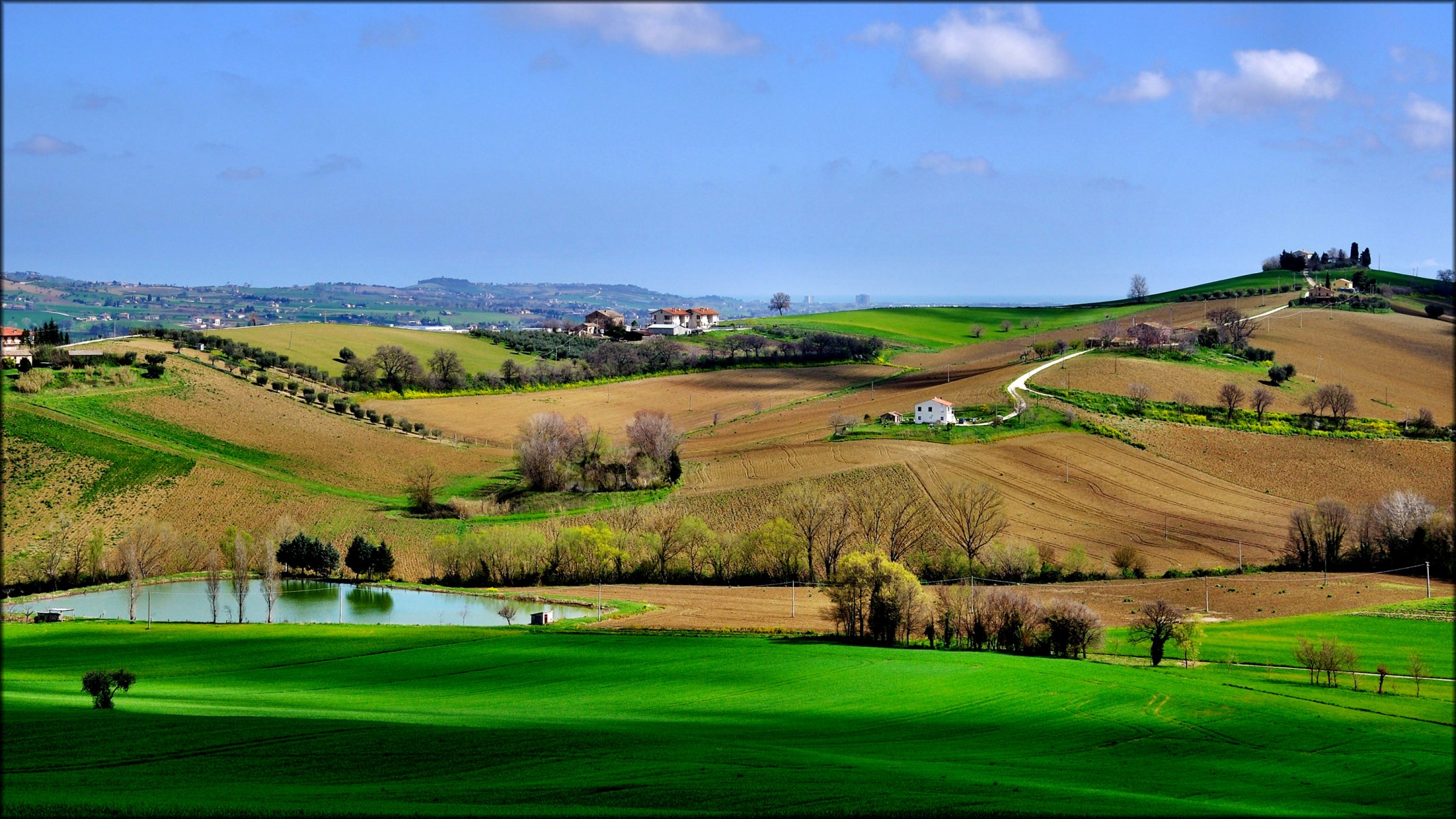 ciel collines champs herbe arbres maison étang