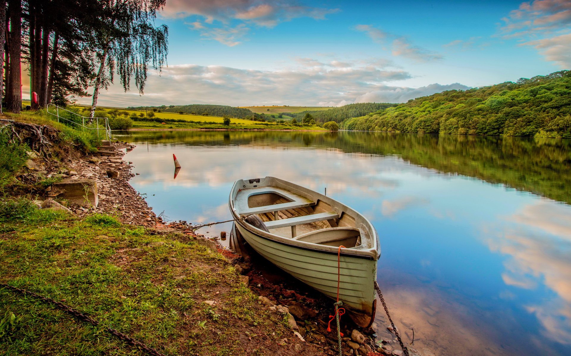 bosque río barco verano