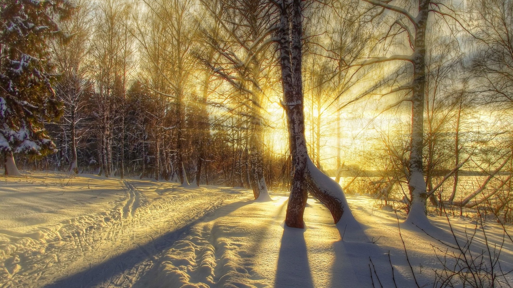 nature winter snow road trees forest sky landscape winter white cool nice sunset