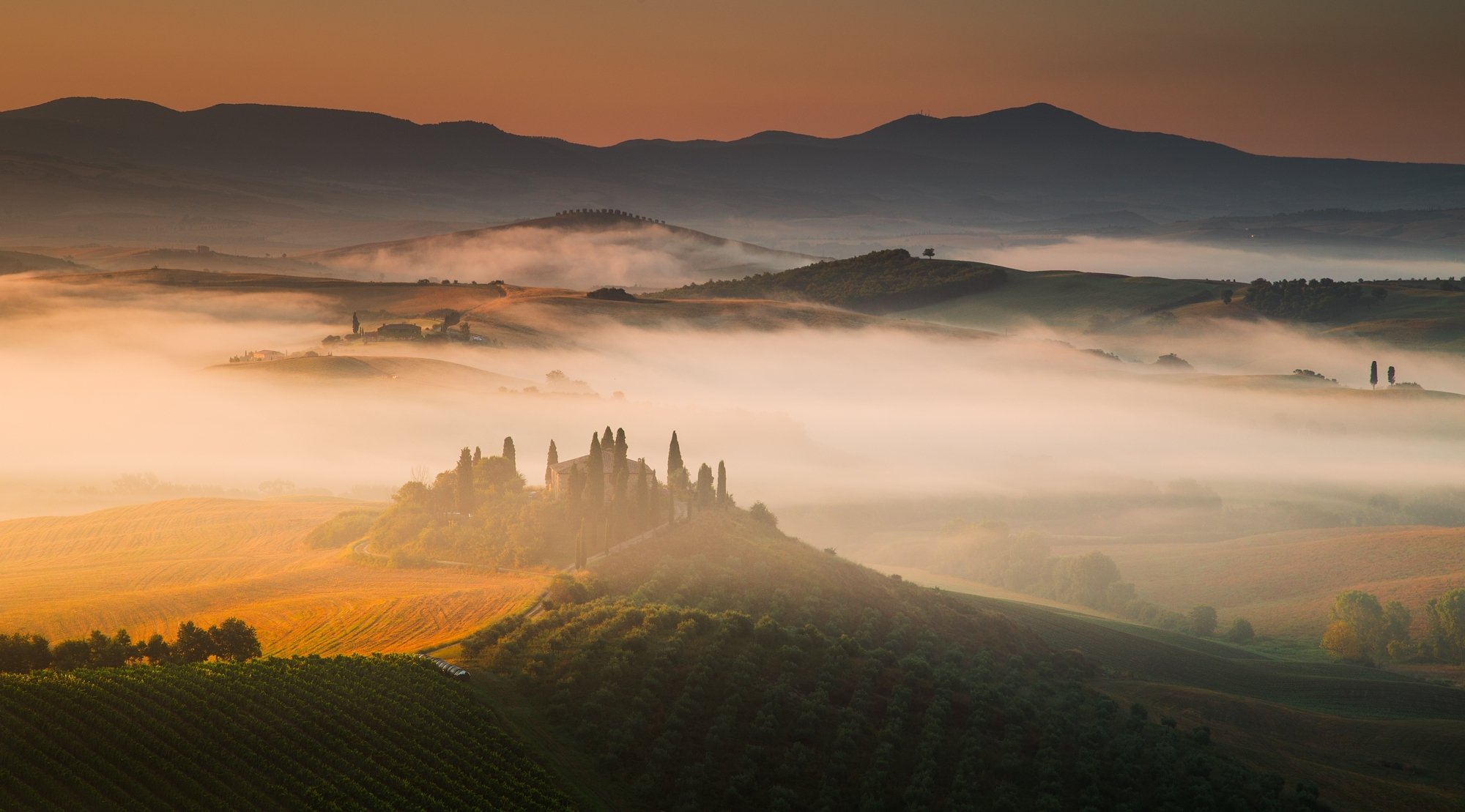 italy tuscany hills of the field vineyards house fog morning sunrise