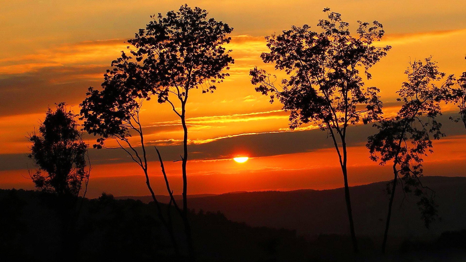 ciel nuages coucher de soleil soleil arbres silhouette collines