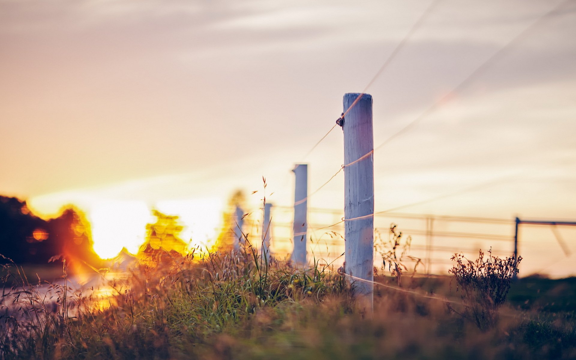 fence road landscape