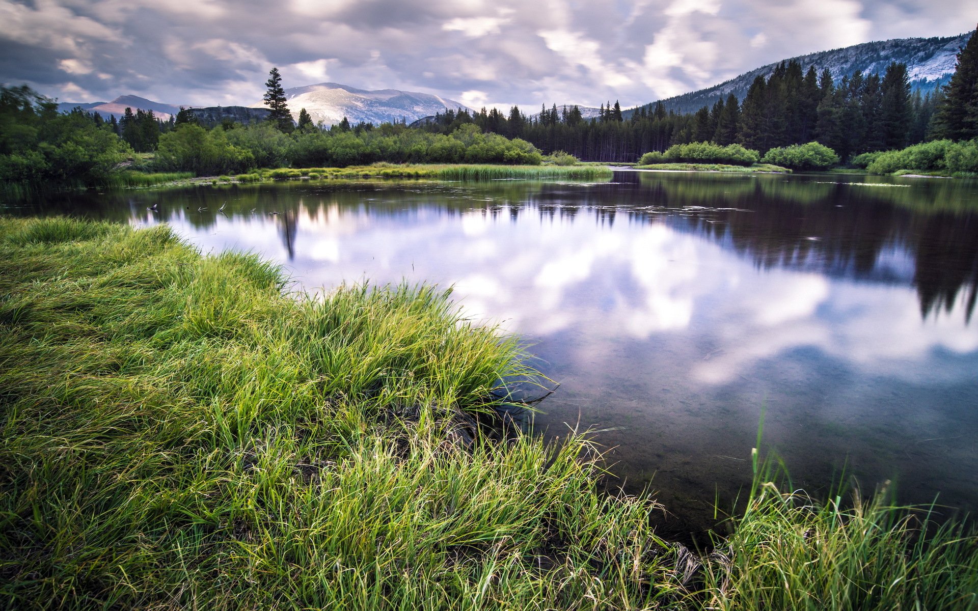 lago verano paisaje