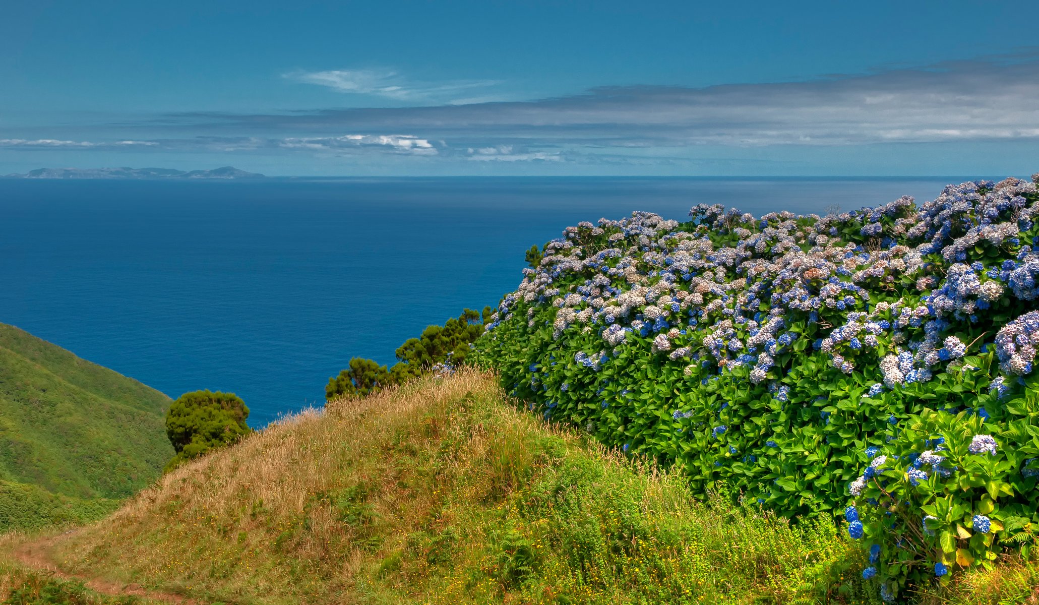 bretaña francia cielo mar montañas hierba flores naturaleza