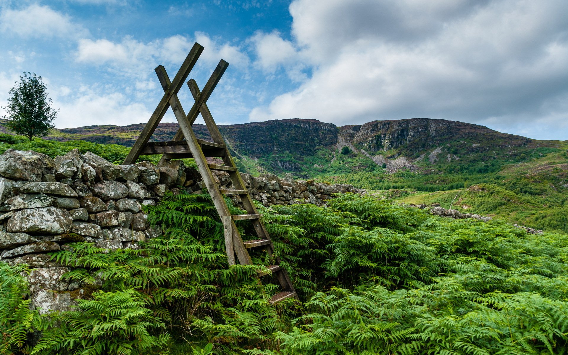 walia ganllwyd schody stile w studentka ganllwyd snowdonia