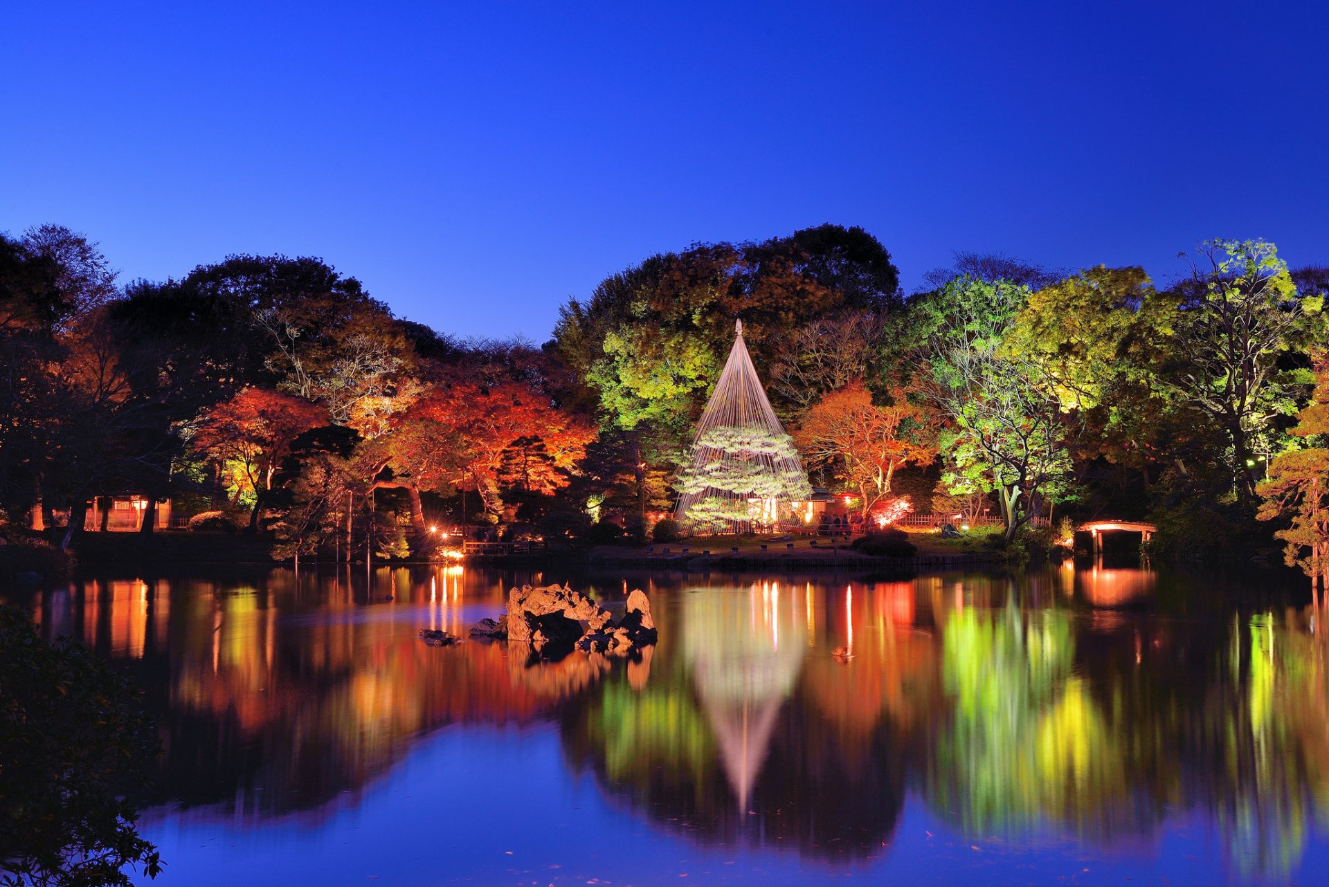 tokyo rikugien giardino acqua alberi natura sera