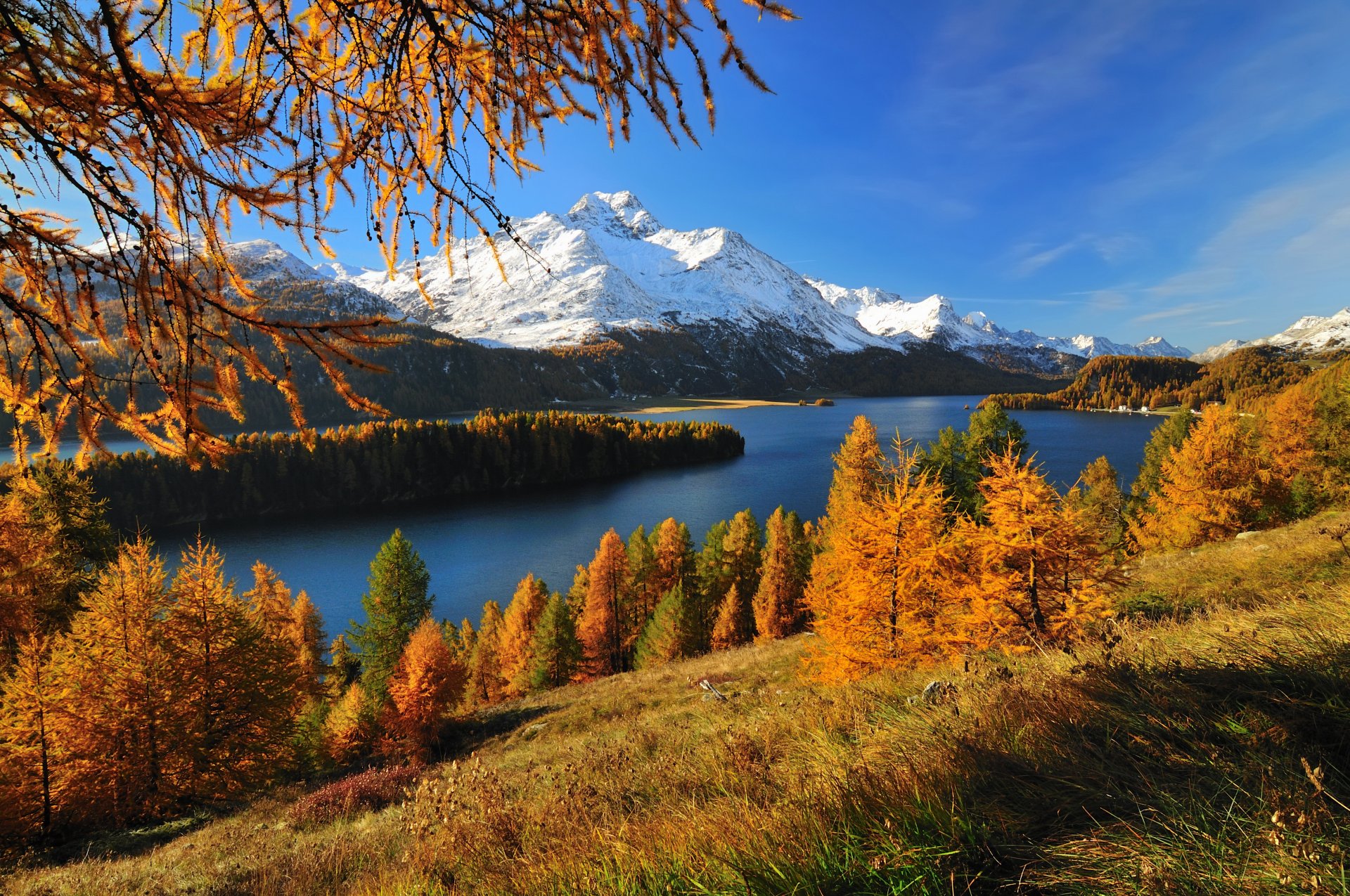 witzerland lake silsersee forest mountain ice autumn