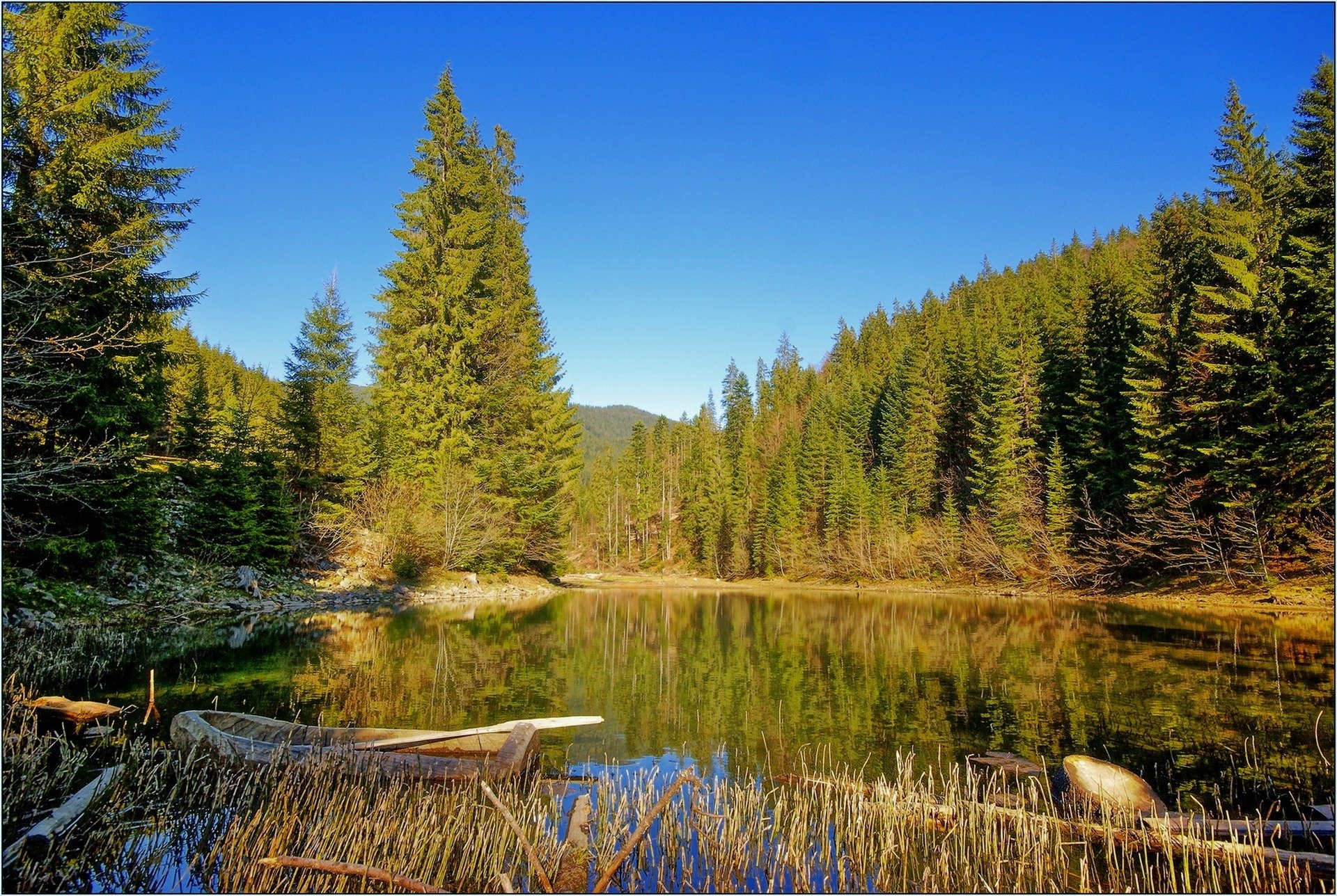 lac bateau forêt transcarpatie nature photo