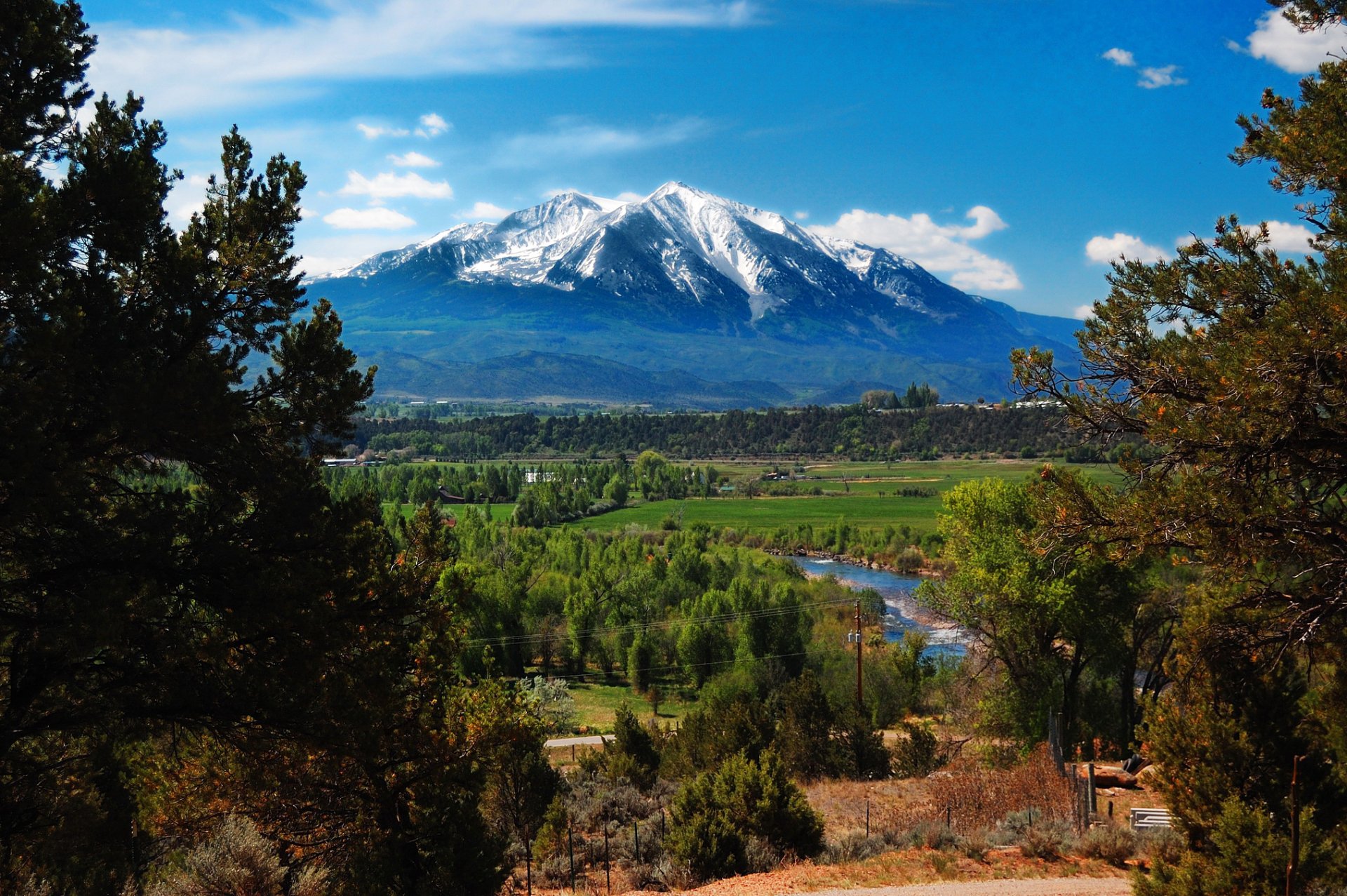 landscape united states mountain forest colorado nature photo