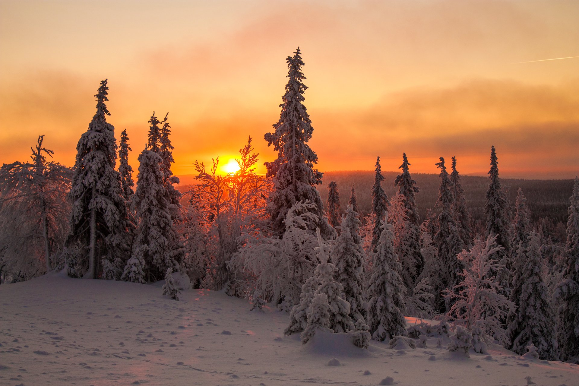 lapponia finlandia inverno neve alberi abete rosso cielo nuvole tramonto sole