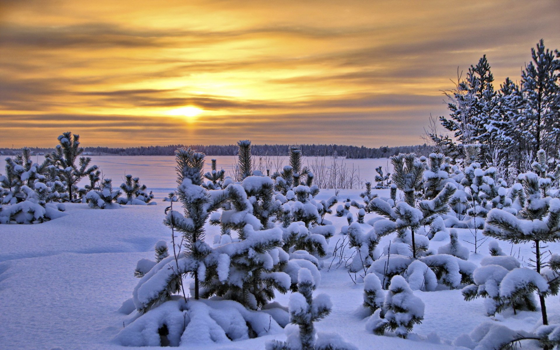 unset winter landscape