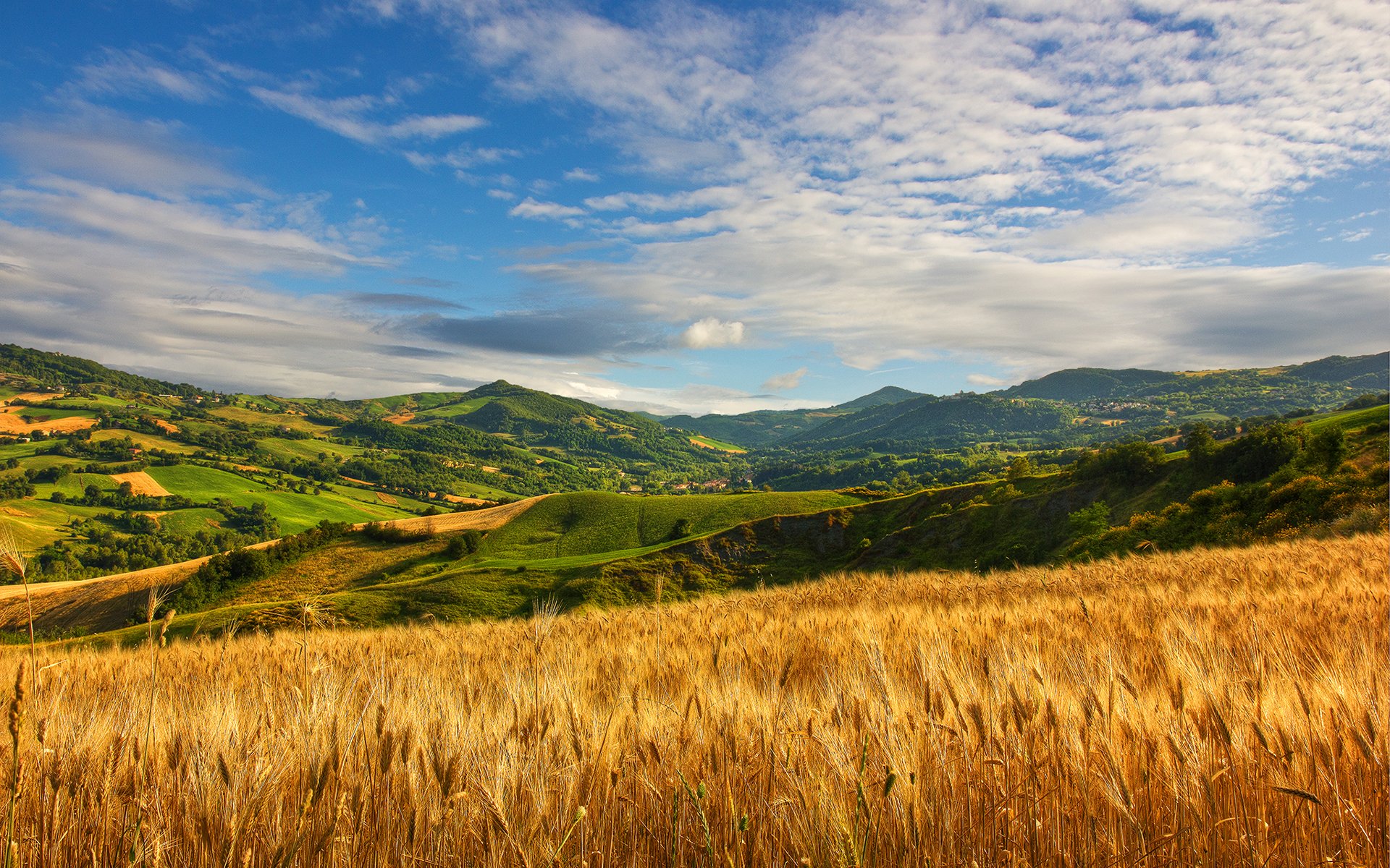 hills wheat cloud summer gra