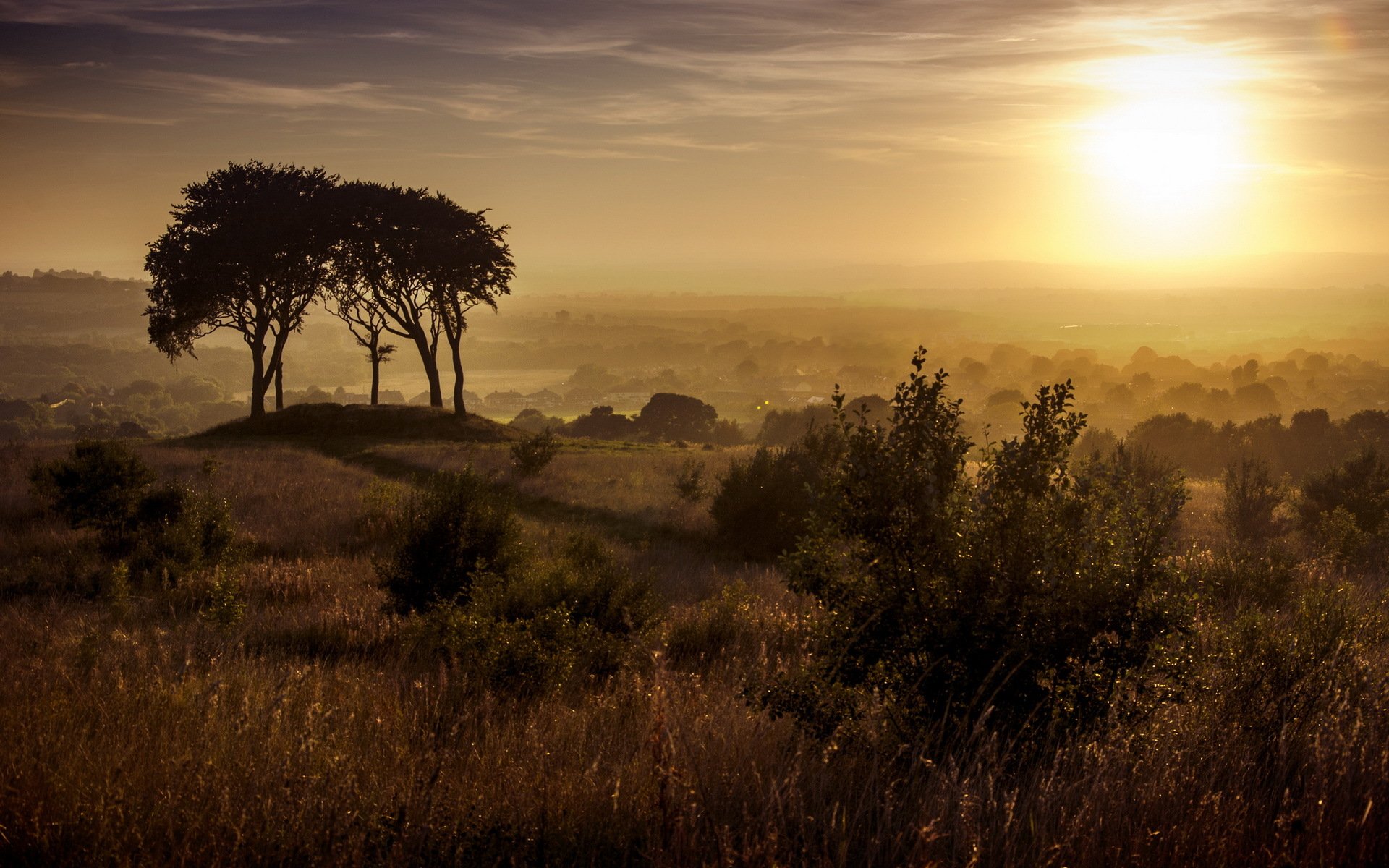 copt hill haughton-le-spring puesta de sol