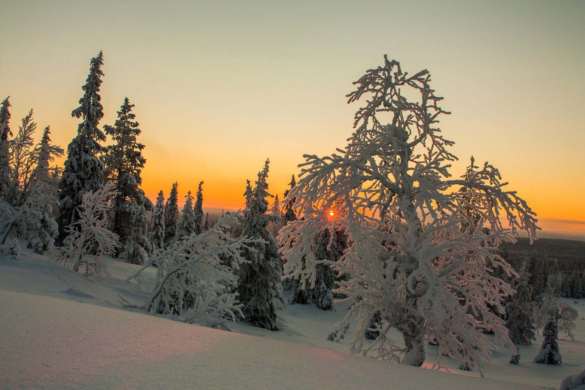 lapponia finlandia inverno neve alberi cielo nuvole tramonto