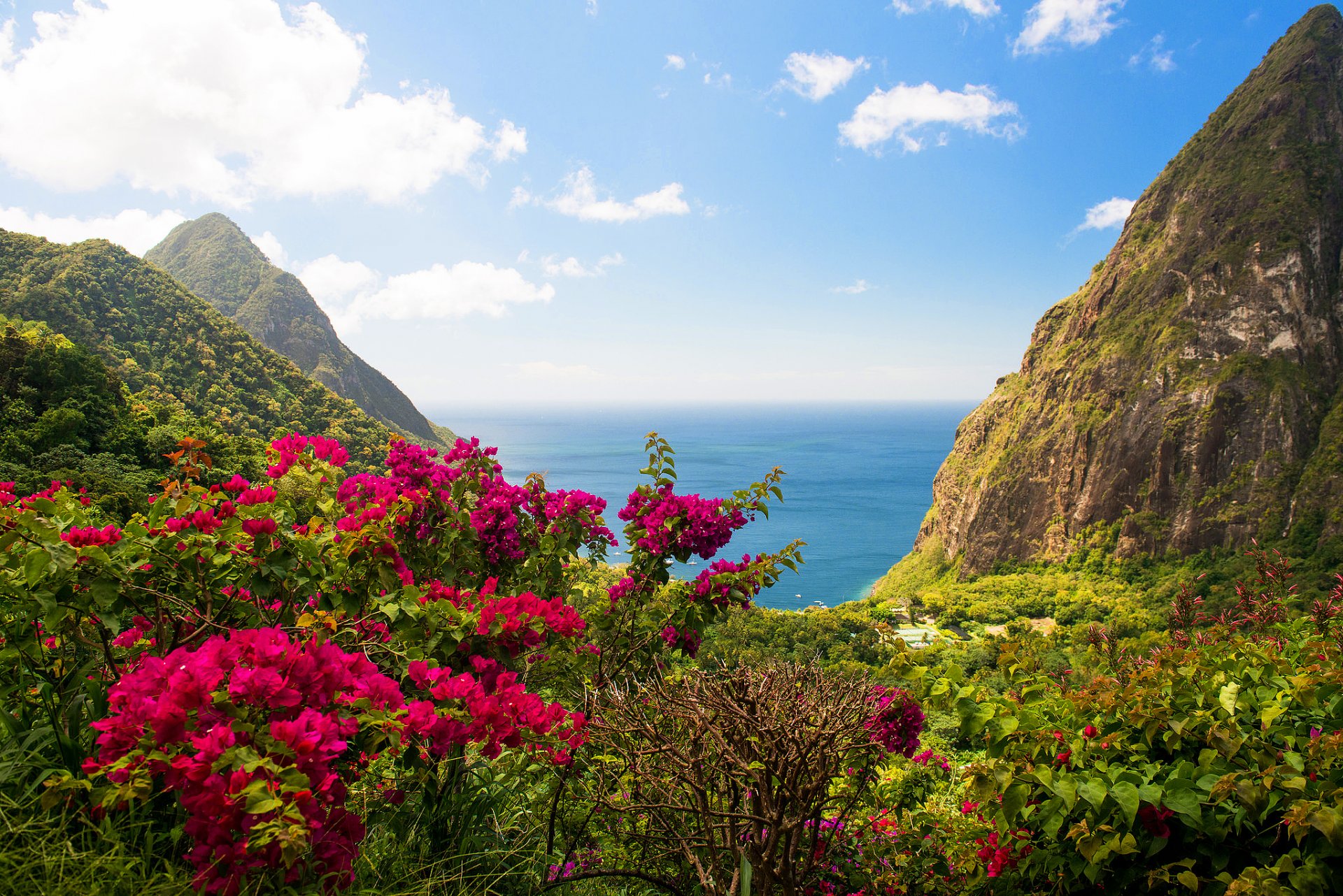 westindien insel felsen meer blumen büsche grün natur landschaft ansicht