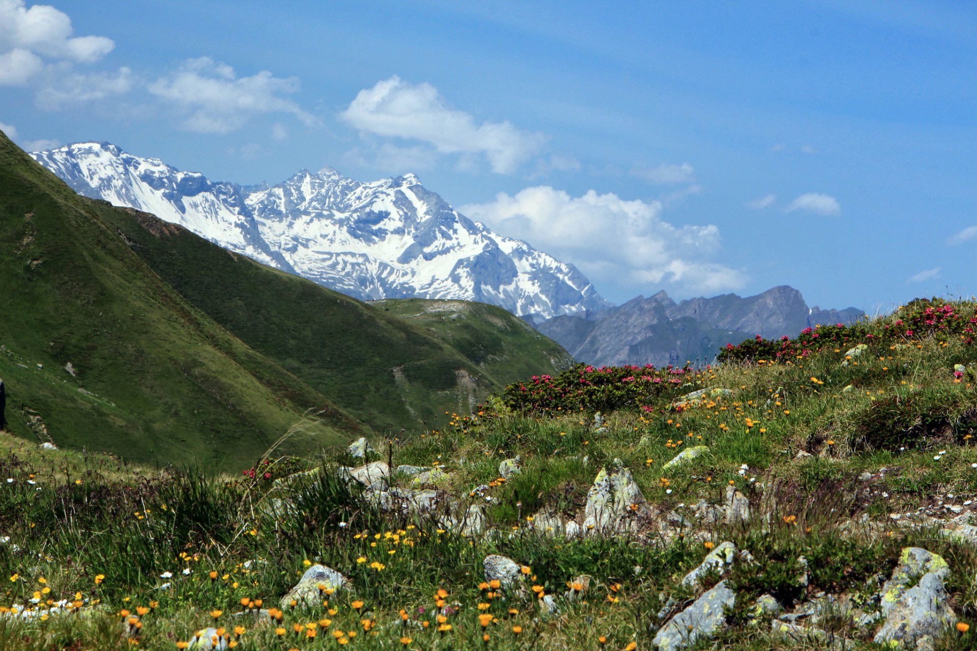 joch italie penzer-joch col de montagne montagnes fleurs