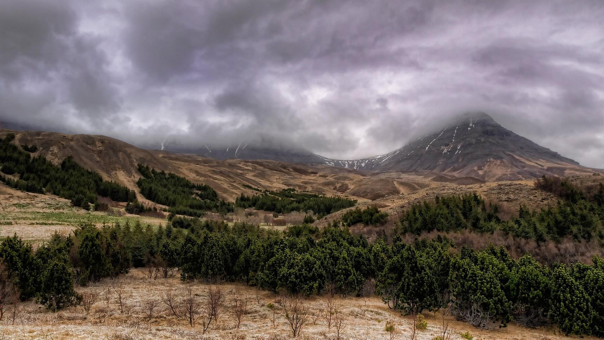 natur wald berge wetter wolken wolken