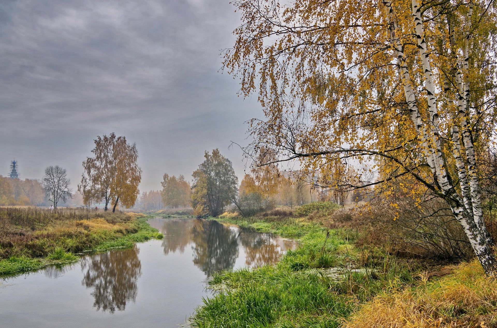 bäume goldener herbst klyazma herbst landschaft fluss nebel