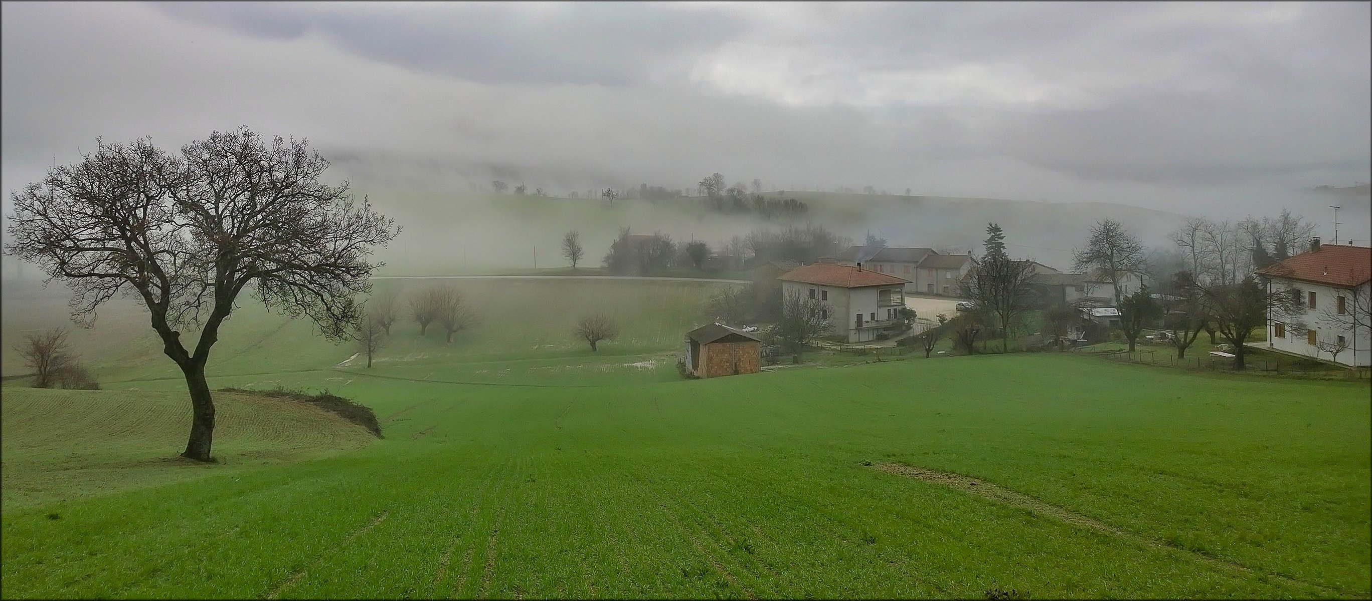 italie campanie matin brouillard maison arbres herbe