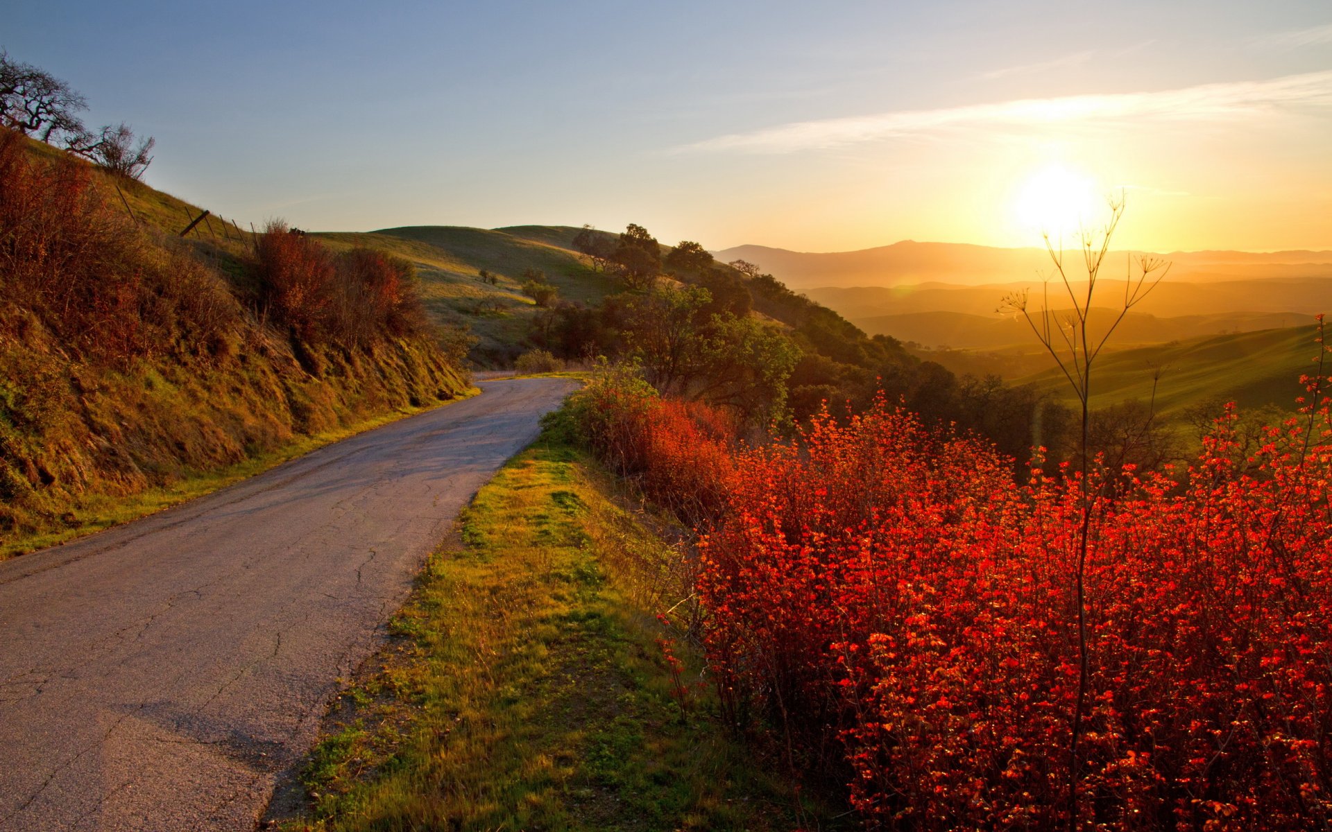 unset road landscape