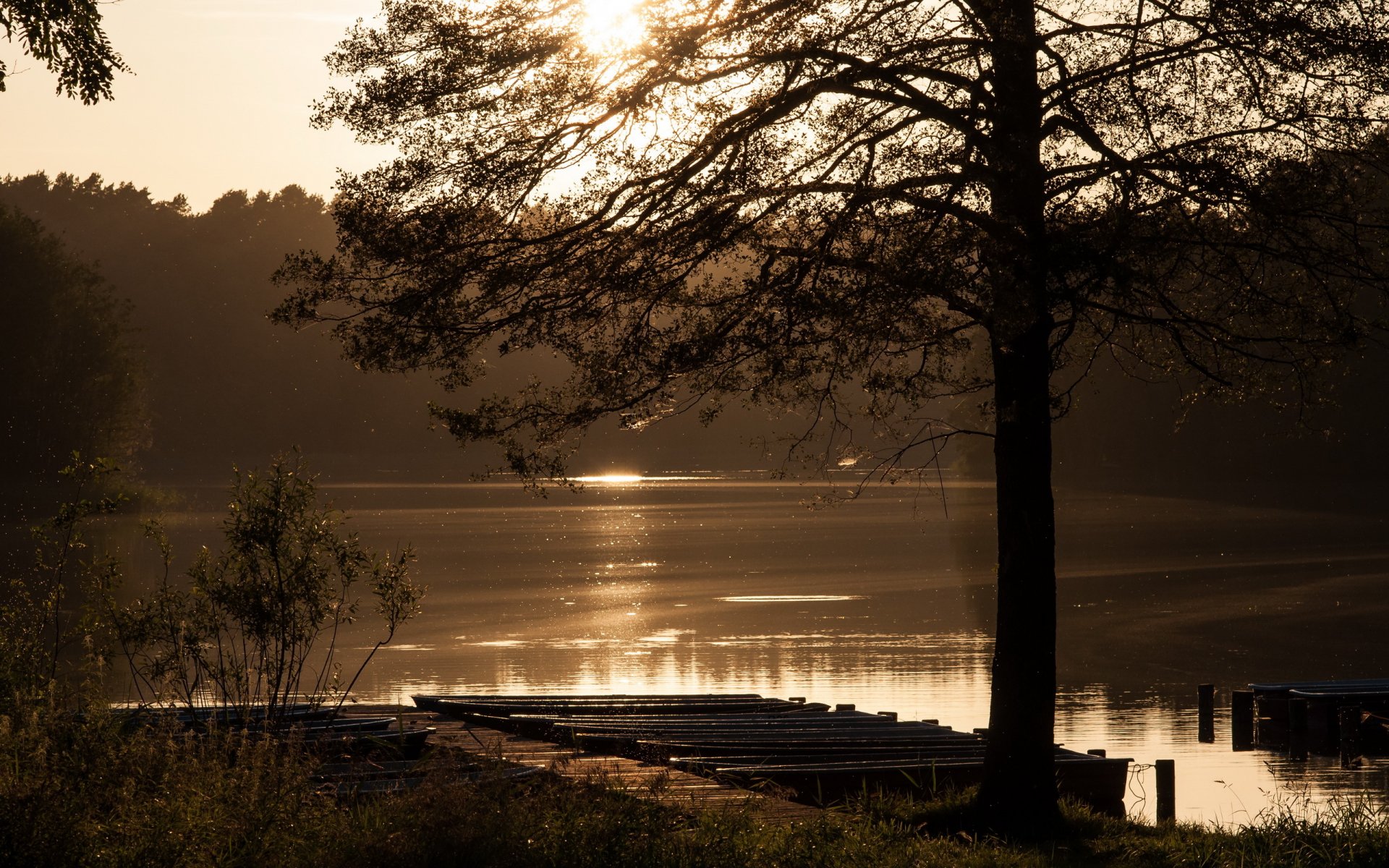 see morgen landschaft