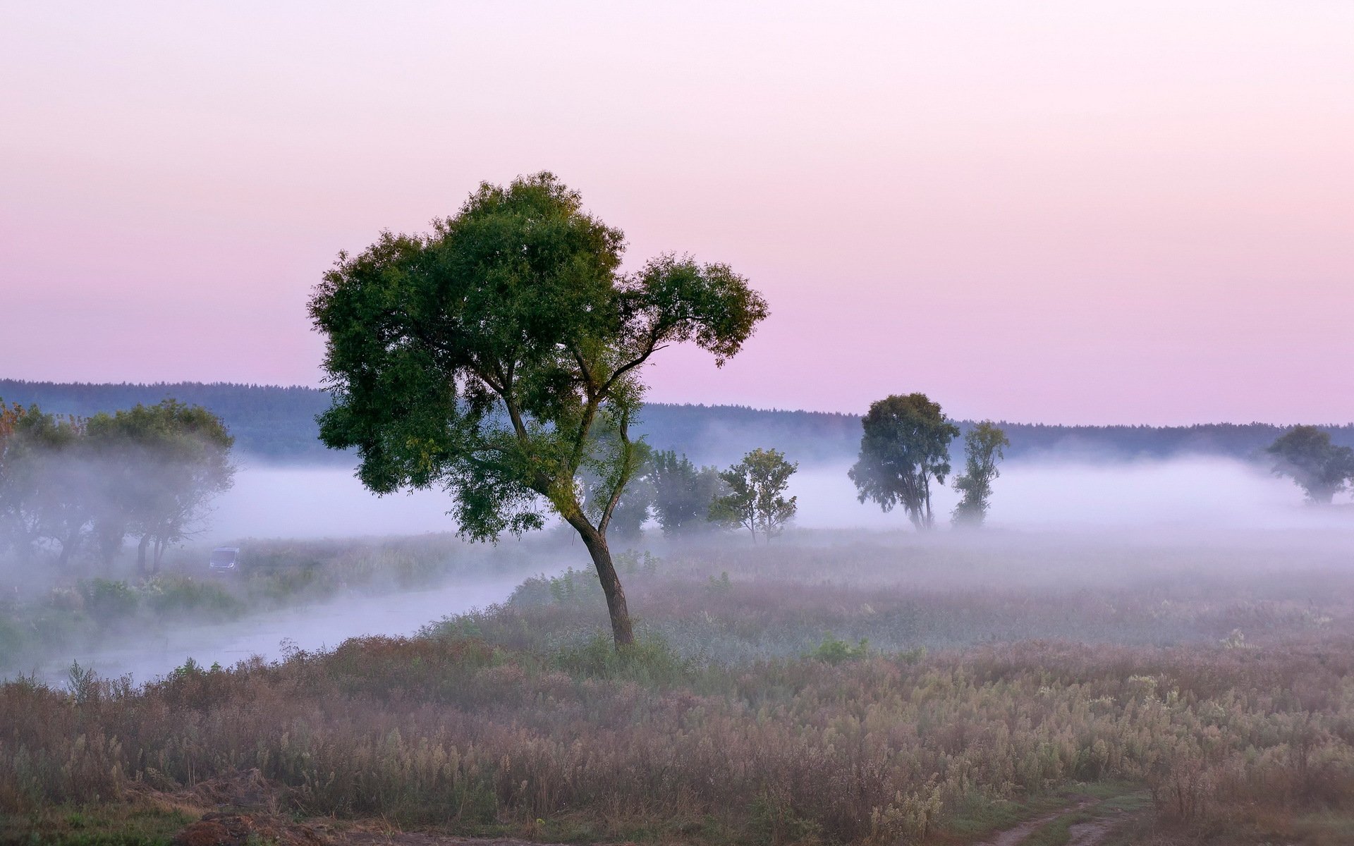 rzeka mgła natura krajobraz