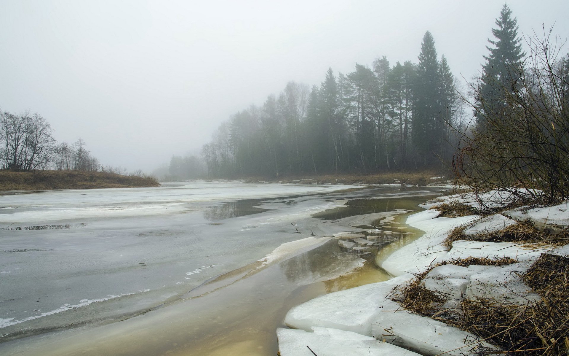 primavera río niebla naturaleza paisaje