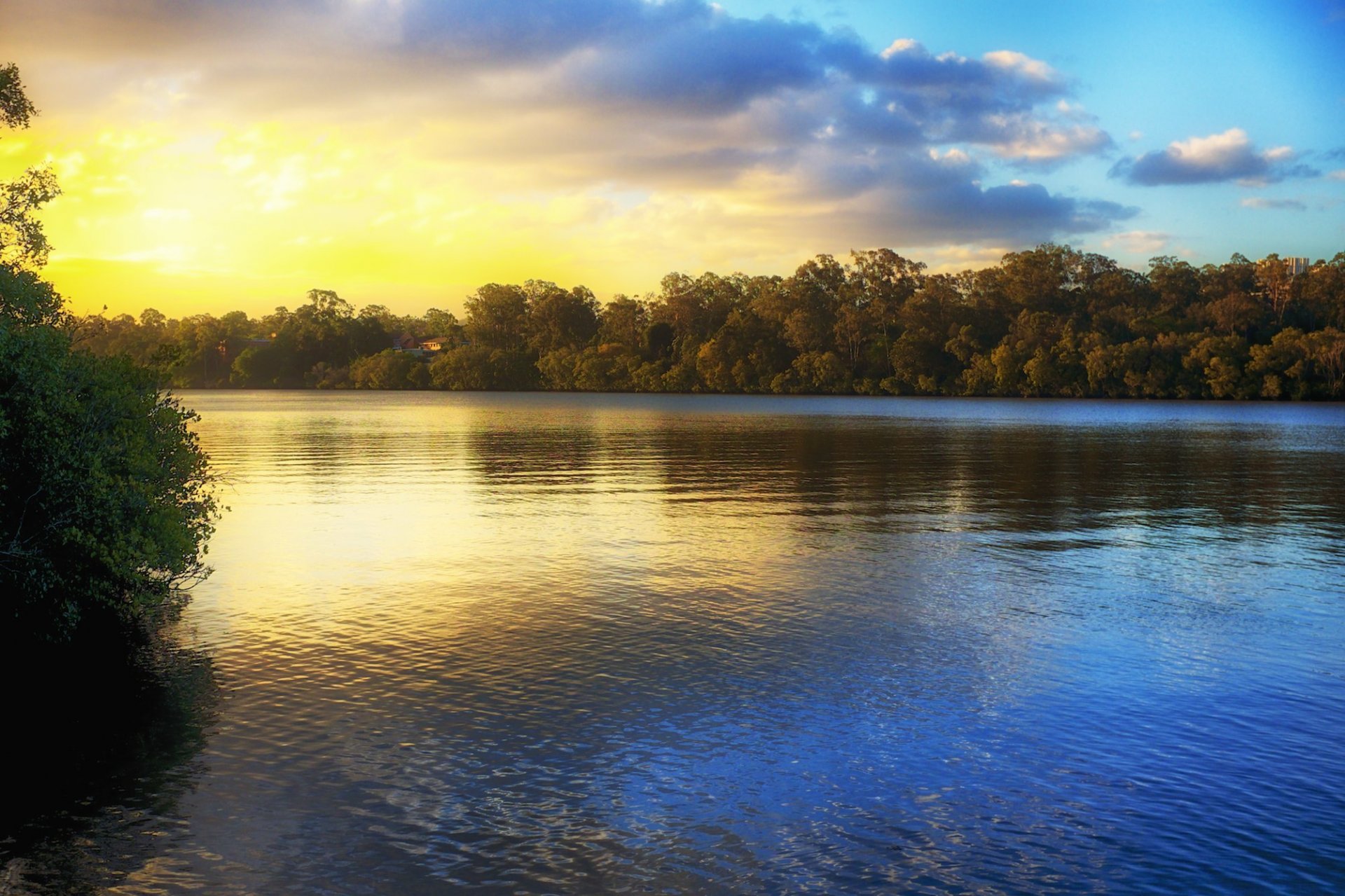 landscape nature water reflection sunset sky tree leave