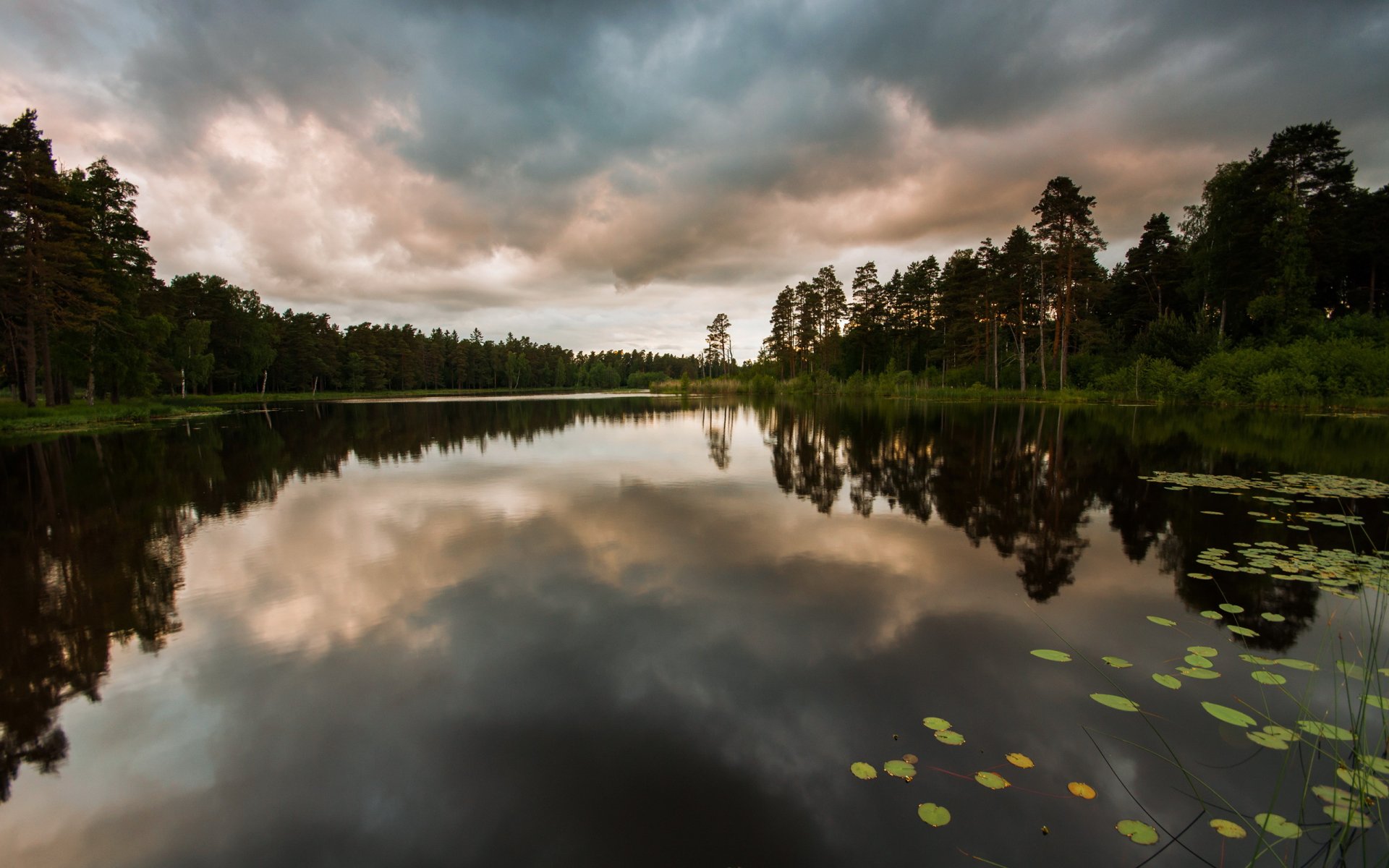 lac forêt nature