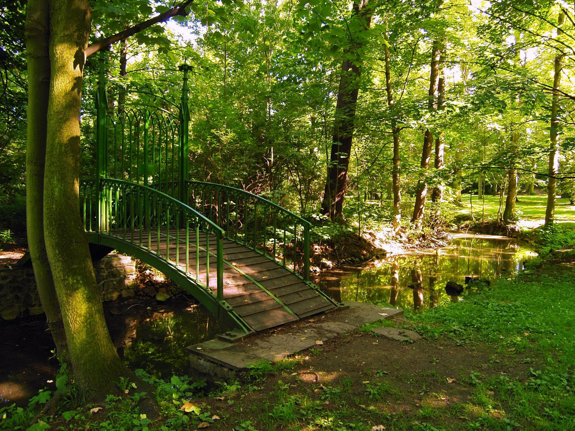 czech republic park bridge teplice tree nature photo