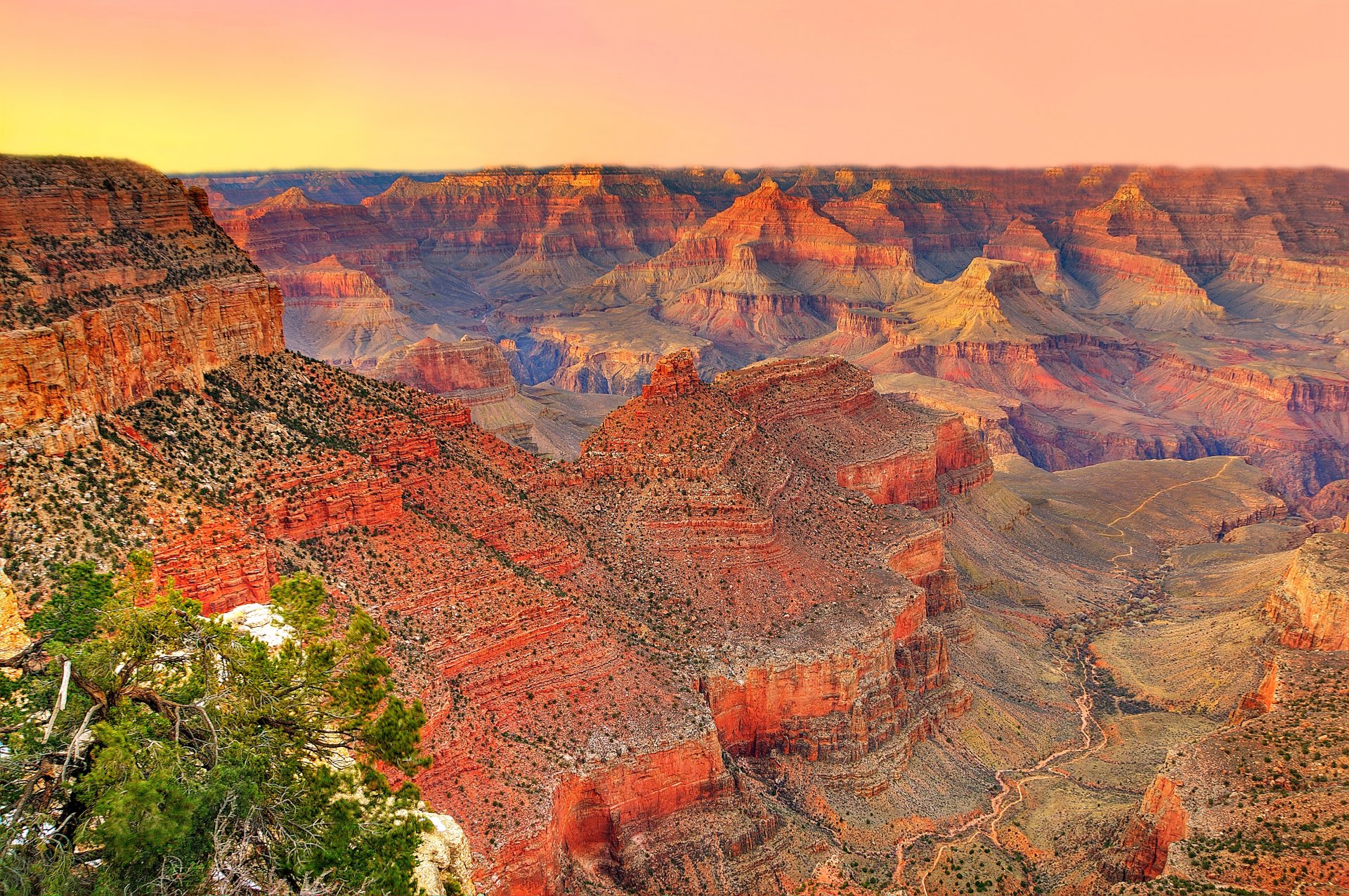 grand canyon national park usa arizona sky mountains canyon sunset tree