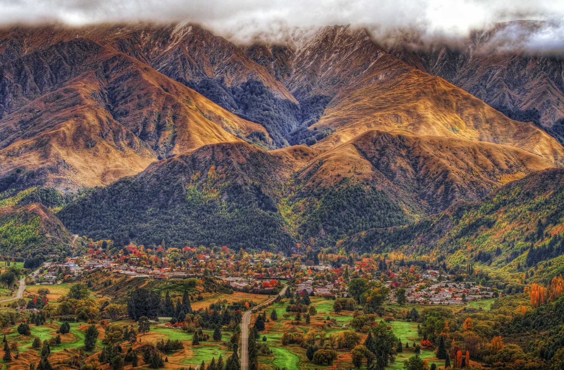 nuova zelanda città foresta alberi strade strada montagne arrowtown