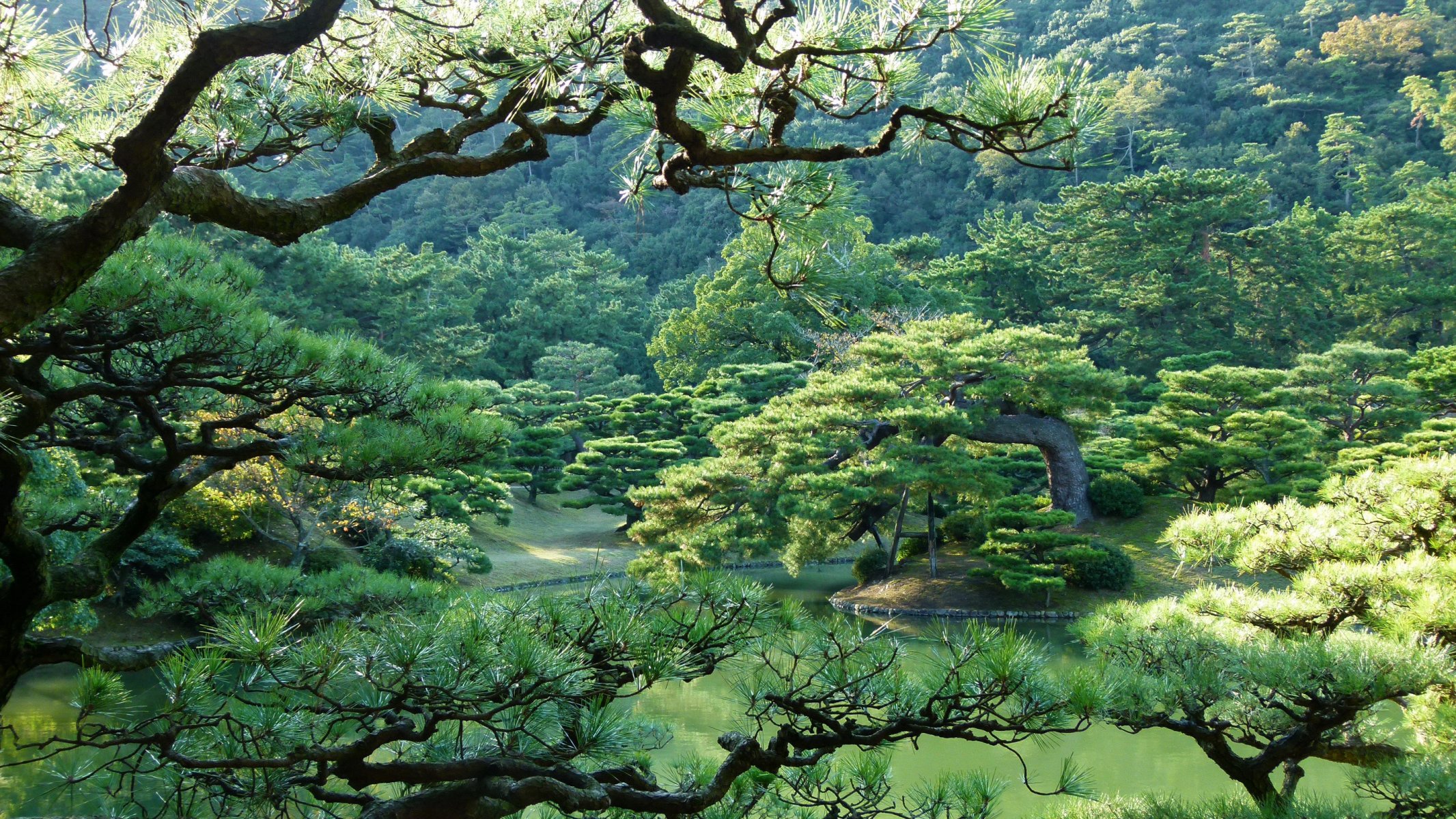 japan park takamatsu ritsurin garten bäume natur foto