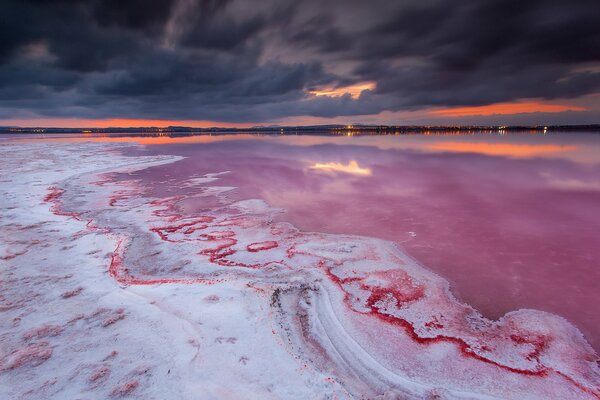 Il lago nella notte come un organismo vivente