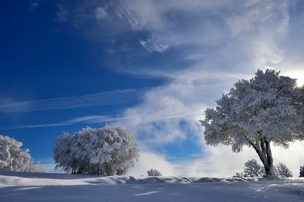 Belle nature au milieu de l hiver