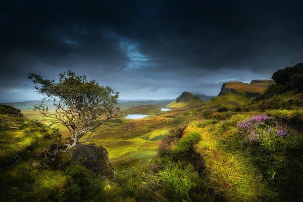 Summer hills in Scotland