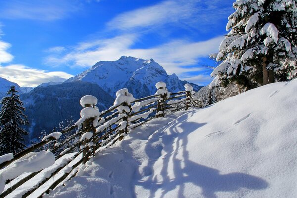 Sendero cubierto de nieve en la colina