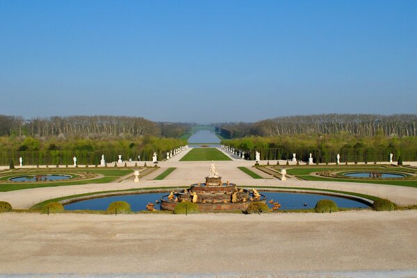 Park otoczony młodym lasem