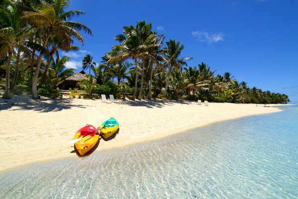 die Malediven. Das Meer und die Palmen auf der Insel