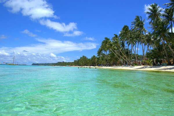 Yacht nelle acque tropicali vicino alla spiaggia di sabbia