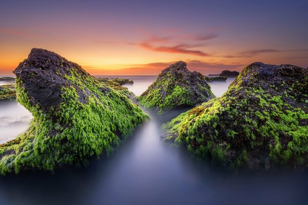 Atardecer en la costa del mar