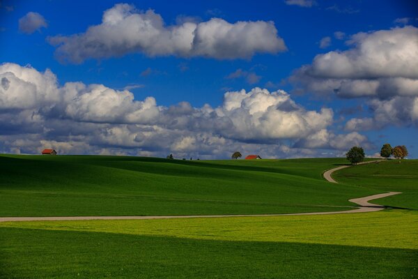 Campo verde con cielo azul. Minimalismo