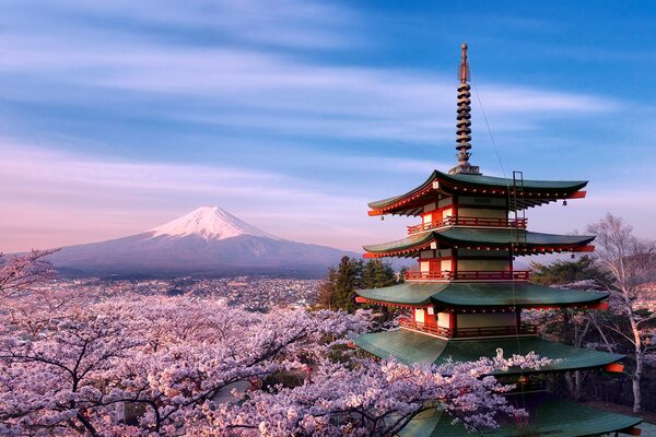 Pagoda rodeada de flores de cerezo