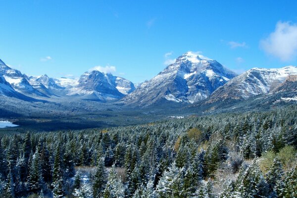 Forêt sur fond de glaciers majestueux