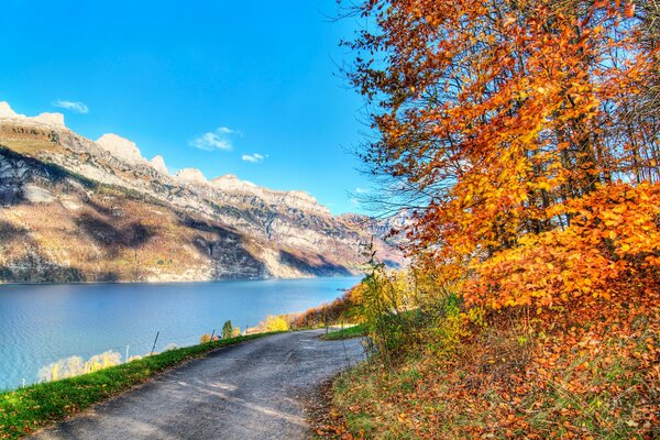 Paisaje de otoño árboles río rocas