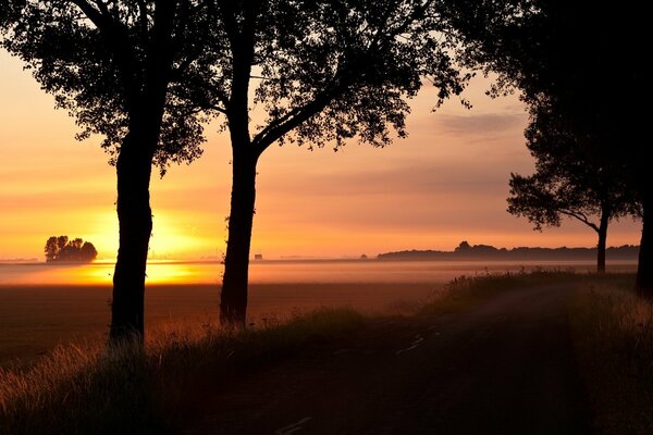 The road to the field at sunset