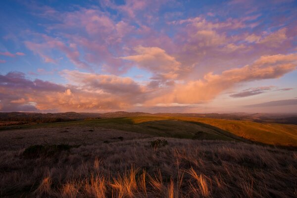 Puesta de sol en el campo de la estepa