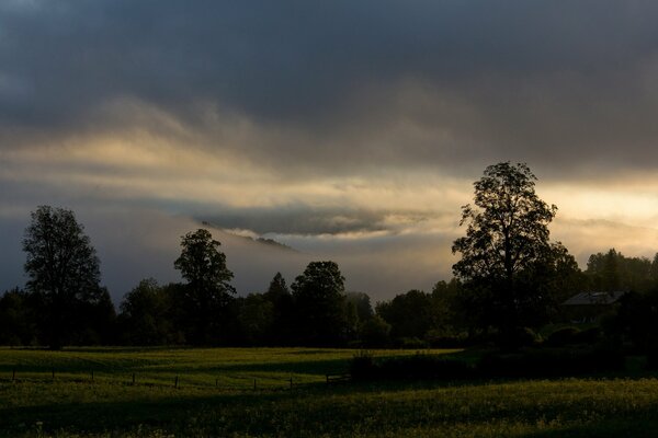 Alberi all alba in Baviera contro un cielo nuvoloso