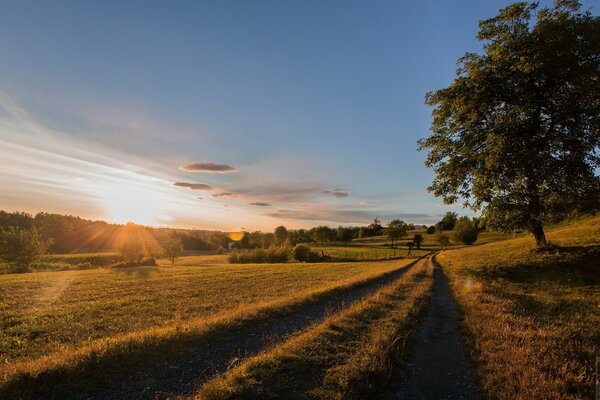 Dawn in Italy. Road, meadow and trees