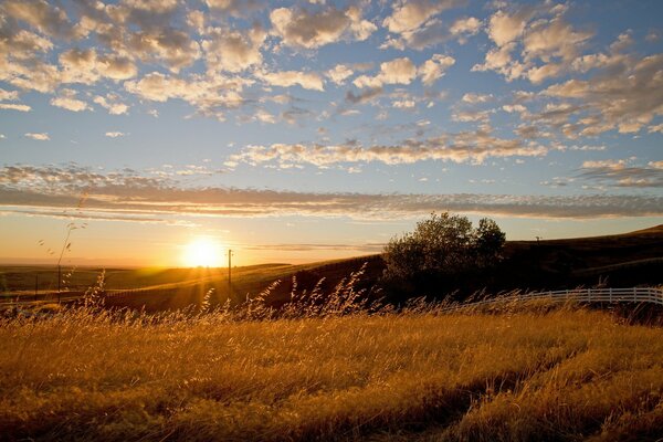 Bellissimo tramonto in campo con recinzione